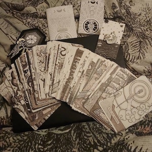 Jo added a photo of their purchase