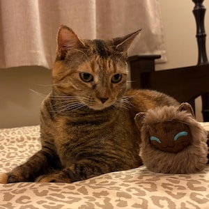 Amy added a photo of their purchase