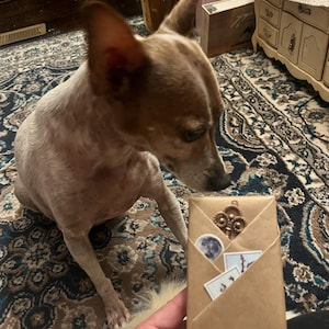 Molly added a photo of their purchase