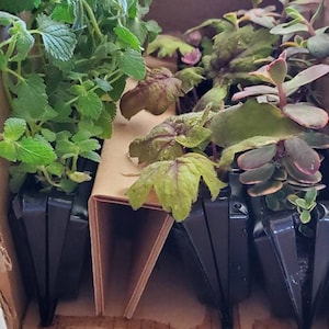 Kristina ha añadido una foto de su compra