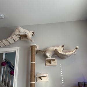 Holly adicionaram uma foto da sua compra