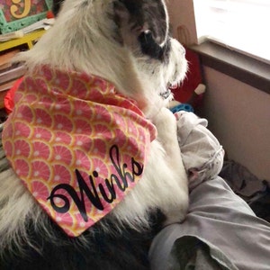 Yems added a photo of their purchase