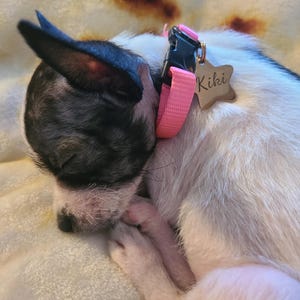 Holly ha añadido una foto de su compra