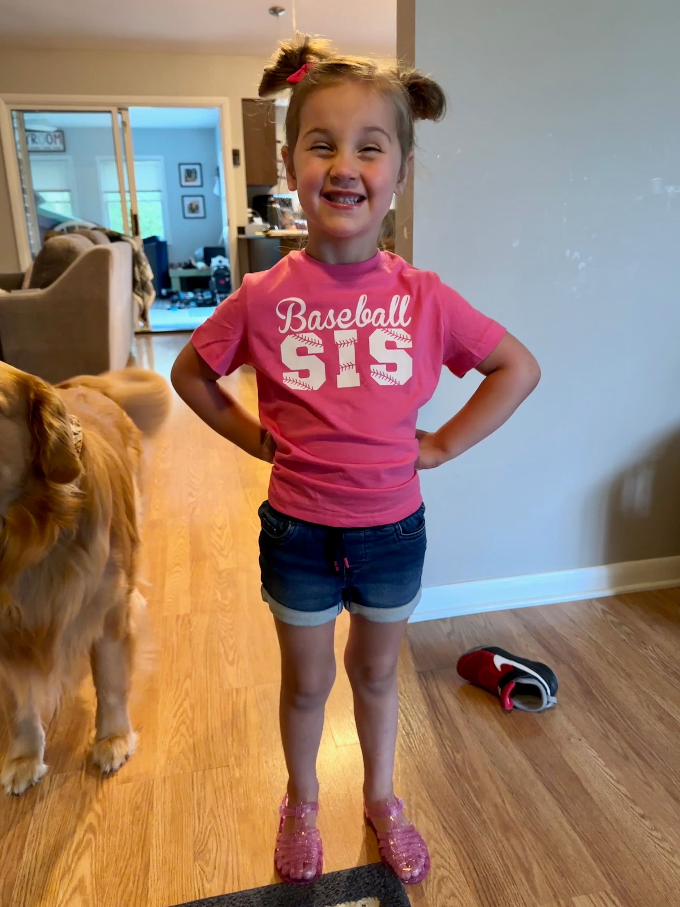 Baseball Sis Shirt, Little Sister Baseball Shirt, Little Sister Biggest Fan, Big Sister Baseball Shirt, Girls Baseball Shirt Gift