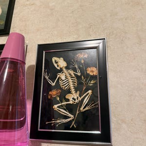 Marissa adicionaram uma foto da sua compra