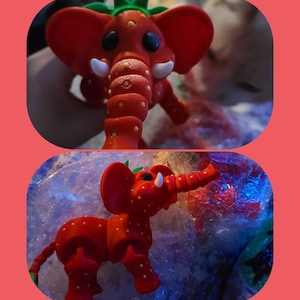 Amanda added a photo of their purchase