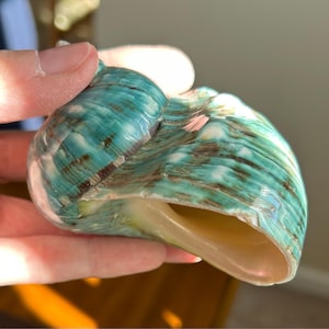 Loretta added a photo of their purchase