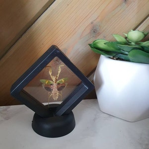 Vee added a photo of their purchase