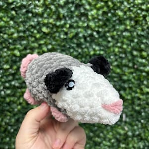 Rachel added a photo of their purchase