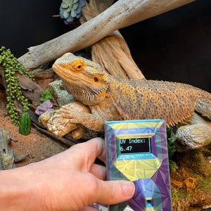 Ashley ha añadido una foto de su compra