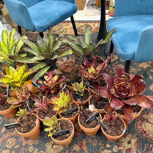 Terri added a photo of their purchase