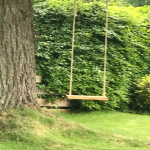 Susan added a photo of their purchase