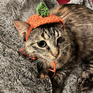 Julianne added a photo of their purchase