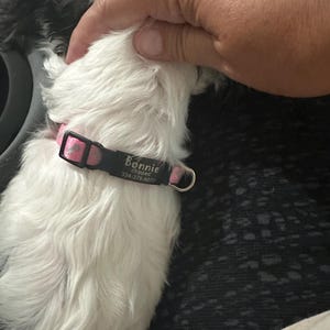 Julia added a photo of their purchase