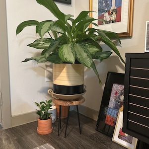 Jason added a photo of their purchase