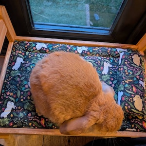Hayley heeft een foto van de aankoop toegevoegd