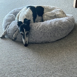Jacqueline added a photo of their purchase