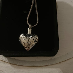 Michele added a photo of their purchase