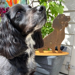 C added a photo of their purchase