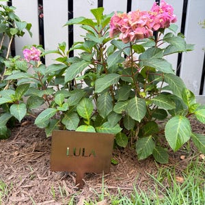 Elizabeth added a photo of their purchase