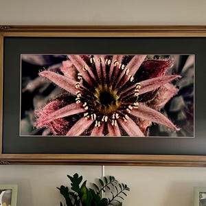 Jyn added a photo of their purchase