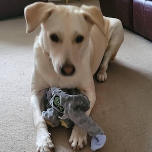Debbie added a photo of their purchase