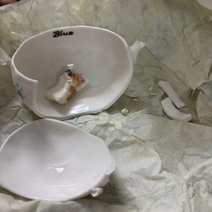 Aparna added a photo of their purchase