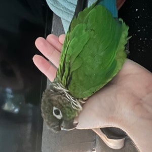 Brandi added a photo of their purchase