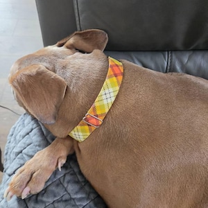 MP a ajouté une photo de son achat