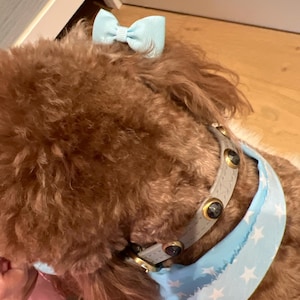 Gray Leather Dog Collar with gemstones, Luxury gray dog collar, Gemstone Dog Collar, Hematite Dog Collar, Cool Dog Collar