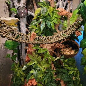 Stormy added a photo of their purchase