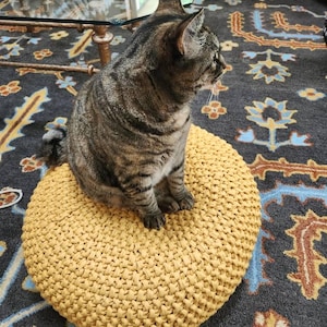 Stacy added a photo of their purchase