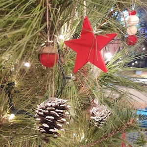 Araceli ha aggiunto una foto del proprio acquisto
