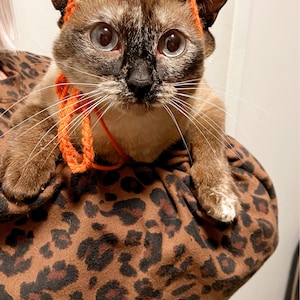Lily added a photo of their purchase