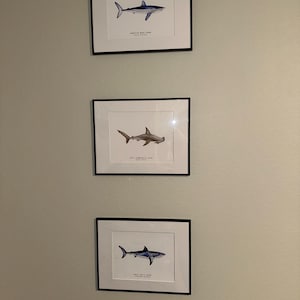 Chelsea added a photo of their purchase