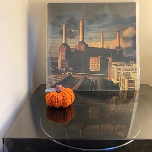 Verity added a photo of their purchase