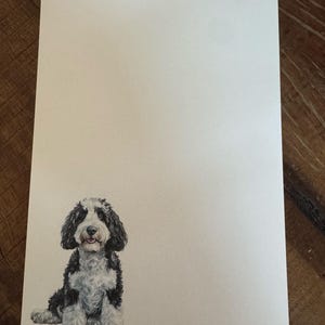 maggie added a photo of their purchase