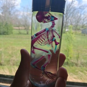 Hannah added a photo of their purchase