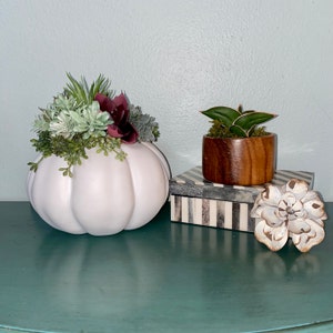 LIVE EDGE Wood Faux Succulent Arrangementtable Centerpiece - Etsy