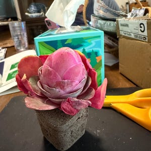 Carlene hat ein Foto des gekauften Artikels hinzugefügt