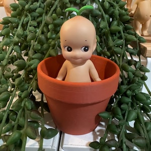 Jacqueline added a photo of their purchase