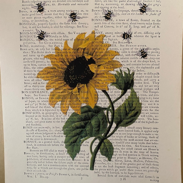Sunflower With Bees 8 X 10 Dictionary Art Print, Botanical Illustration Poster, Flower Wall ...