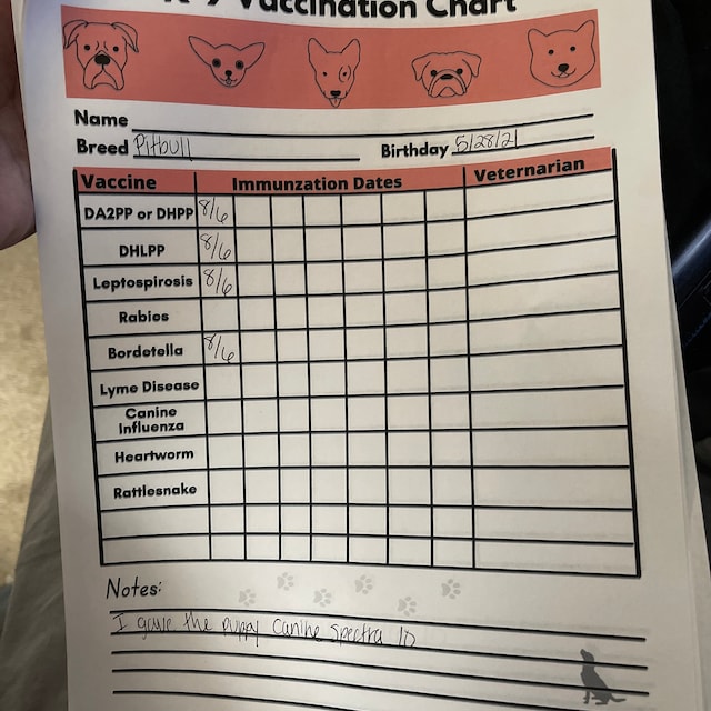 Buy Dog Vaccine Printable, Pet Printable, Immunization, Puppy