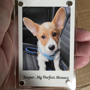 Personalized Dog Sympathy Gift, Pet Loss Memorial, Custom Dog Photo Car Visor Clip, Pet Remembrance Keepsake, Dog Memorial Gift for Car