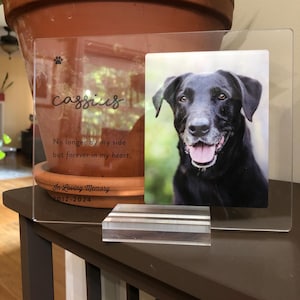Amanda added a photo of their purchase