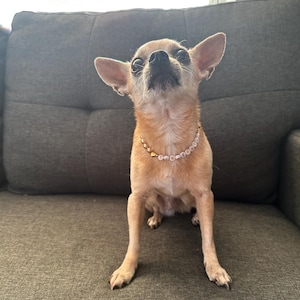 Anne ha añadido una foto de su compra