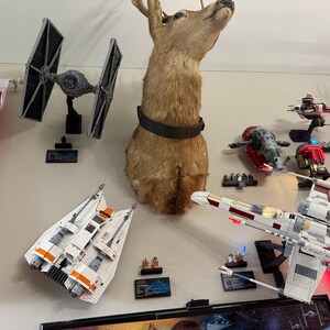 David added a photo of their purchase
