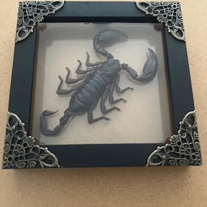 Guadalupe added a photo of their purchase
