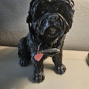 Joselynn added a photo of their purchase
