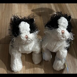 Cat　0102 ♡ 900-471_1.jpg?optimize=medium&
